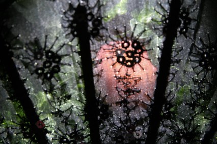 Schwarze Muster mit transparentem Stoff, hinter dem Pflanzen wachsen